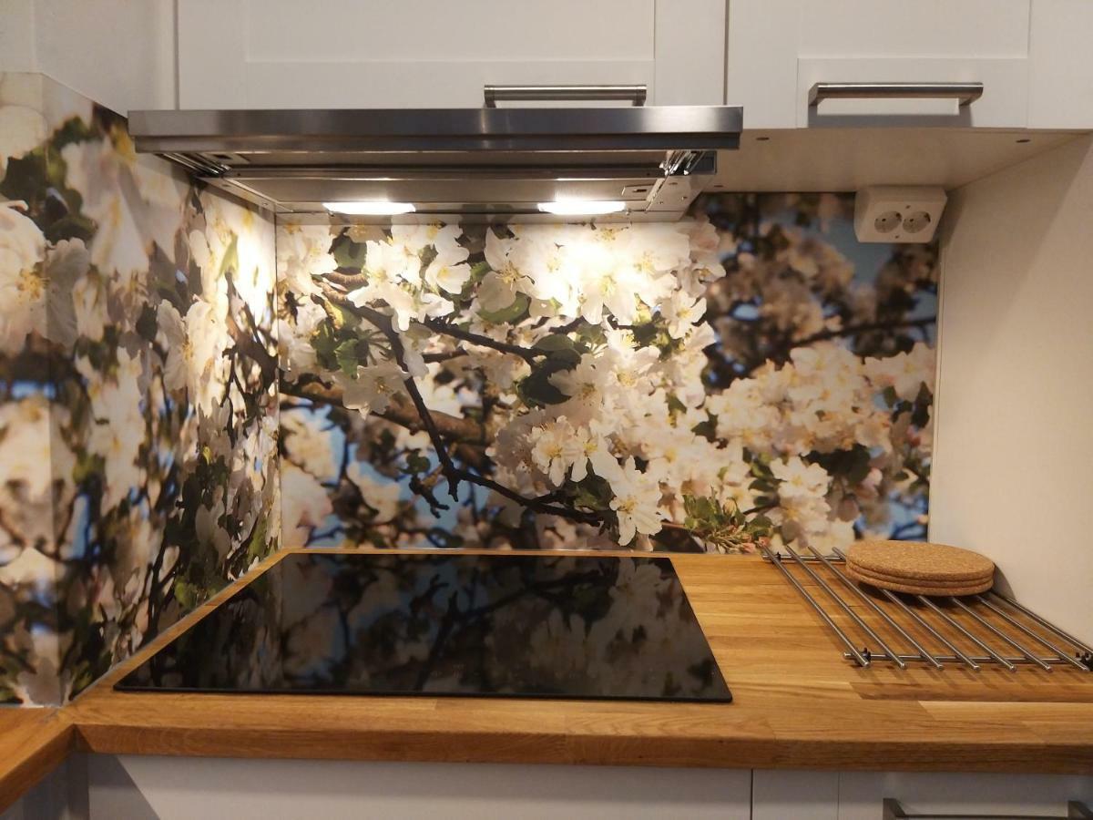 Studiohuoneisto Lohjan Keskusta 2 Dış mekan fotoğraf