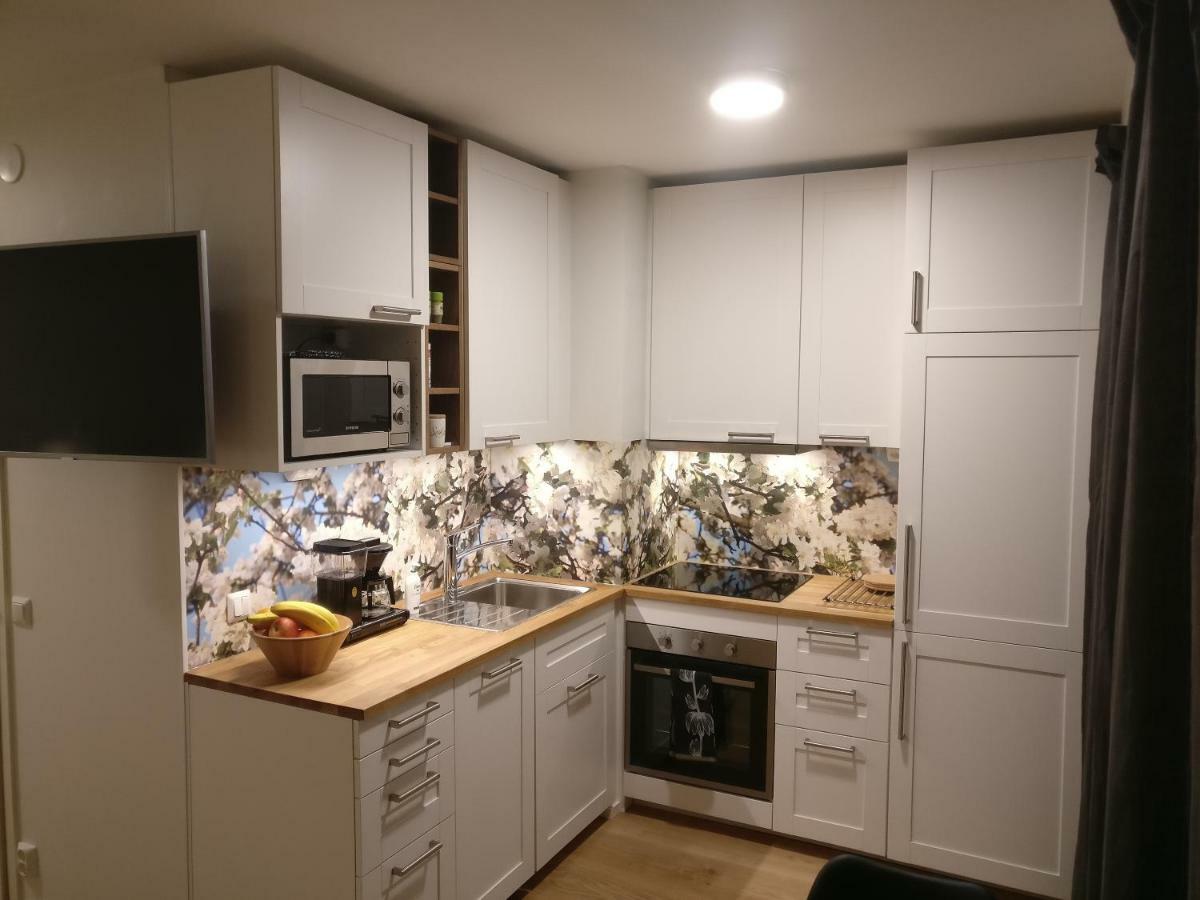 Studiohuoneisto Lohjan Keskusta 2 Dış mekan fotoğraf